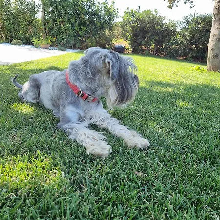 Carezza Del Mare Feriehus