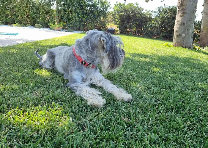 Carezza Del Mare Σπίτι διακοπών